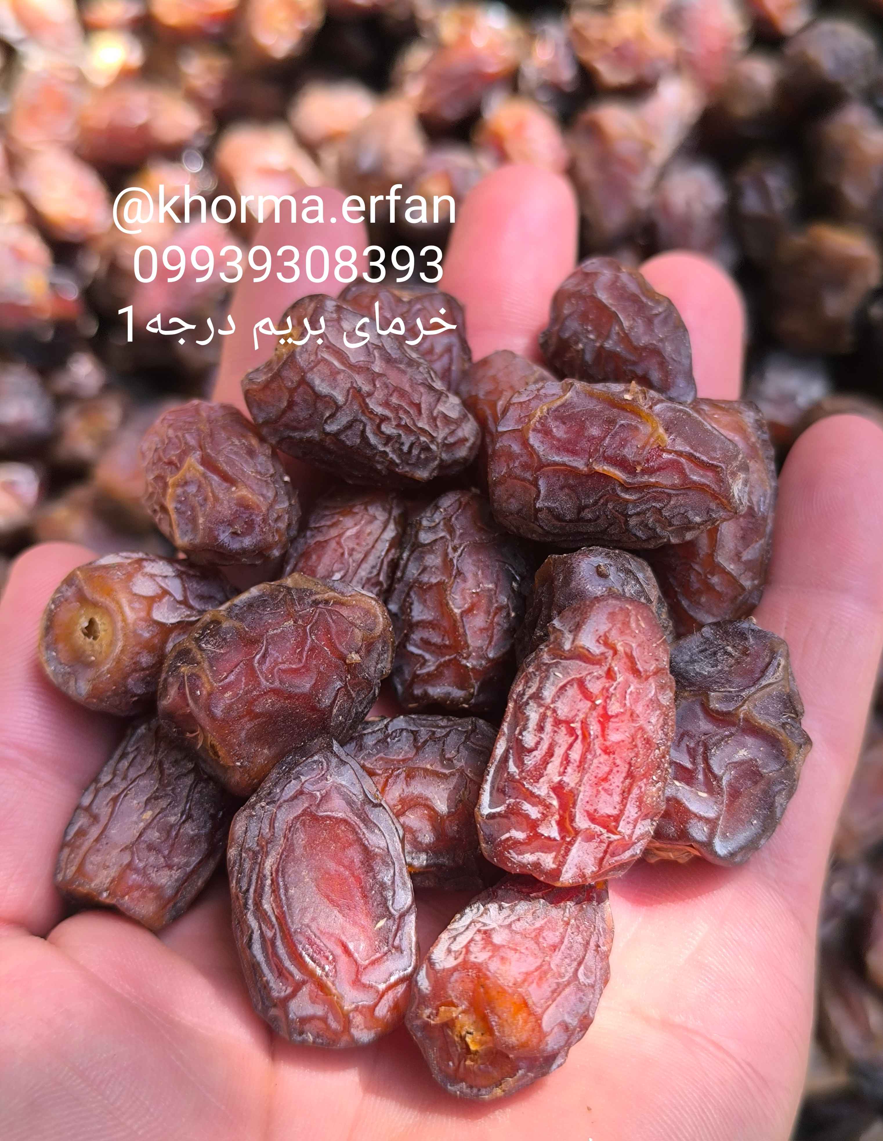 خرمای بریمی لوکس آلوچه و آدامسی خرمای بریم جنوب در فروشگاه اینترنتی خرما فروشی عرفان 