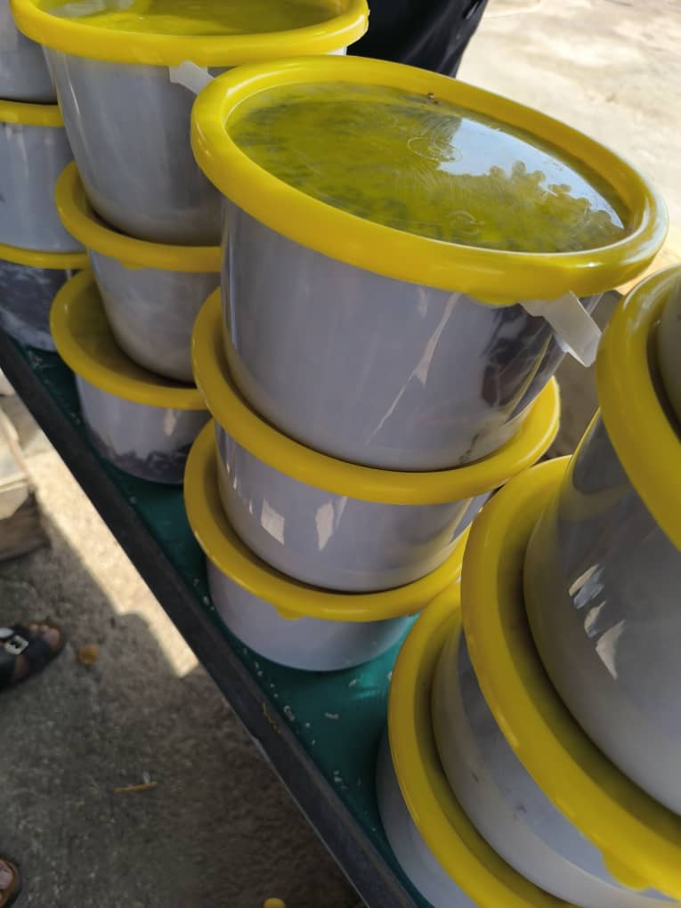 خرمای برحی جنوب خرما برحی خوزستان 